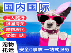 延吉航空货运国际宠物托运 【国